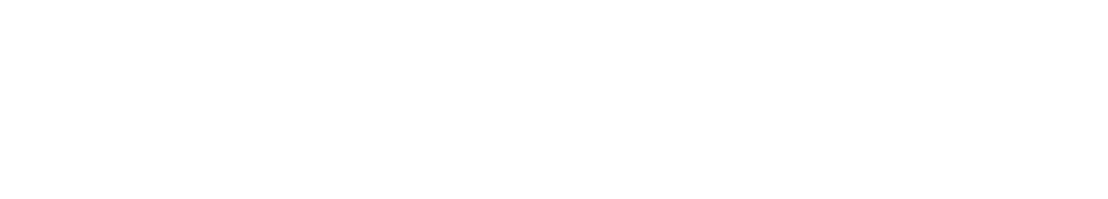 Pension Access